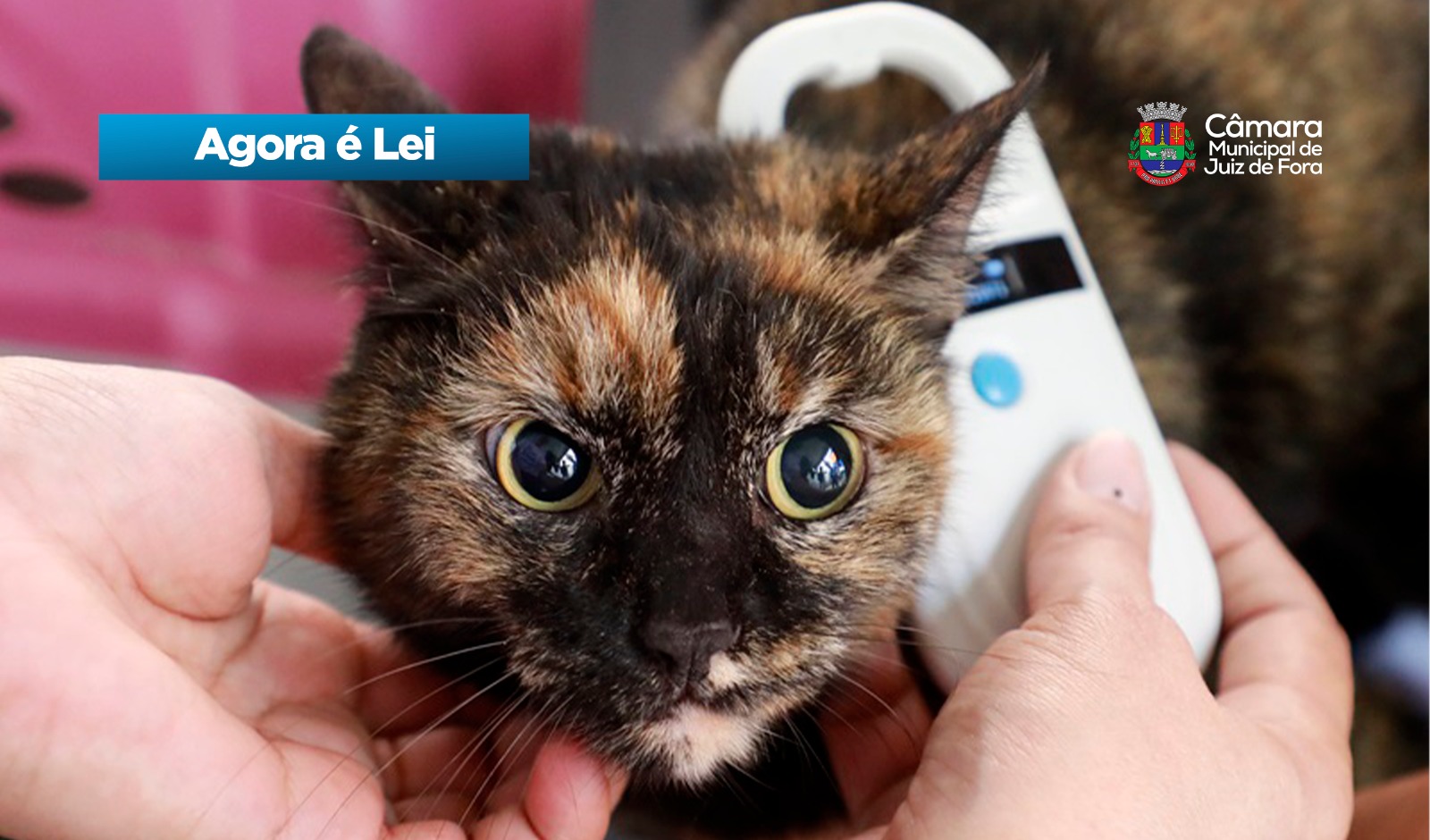 Agora é Lei - Cadastramento imediato para animais com microchip (28/04/2026 00:00:00)