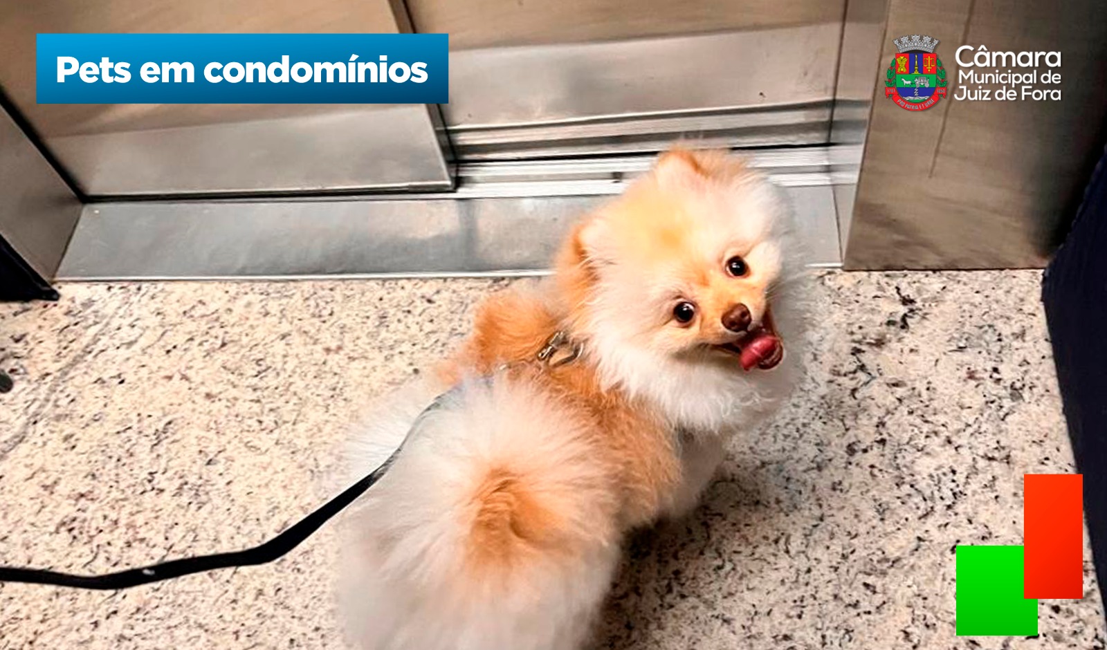 Pets em condomínios - Câmara aprova animais de estimação em condomínios residenciais (09/12/2025 00:00:00)