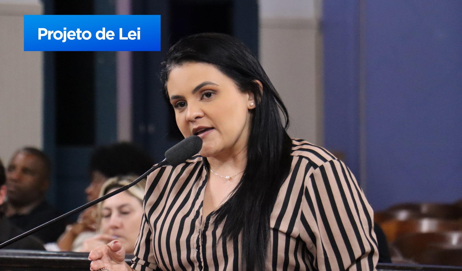 Roberta Lopes apresenta projeto de lei para determinar identificação de pessoas apenas como masculino e feminino (24/01/2025 00:00:00)