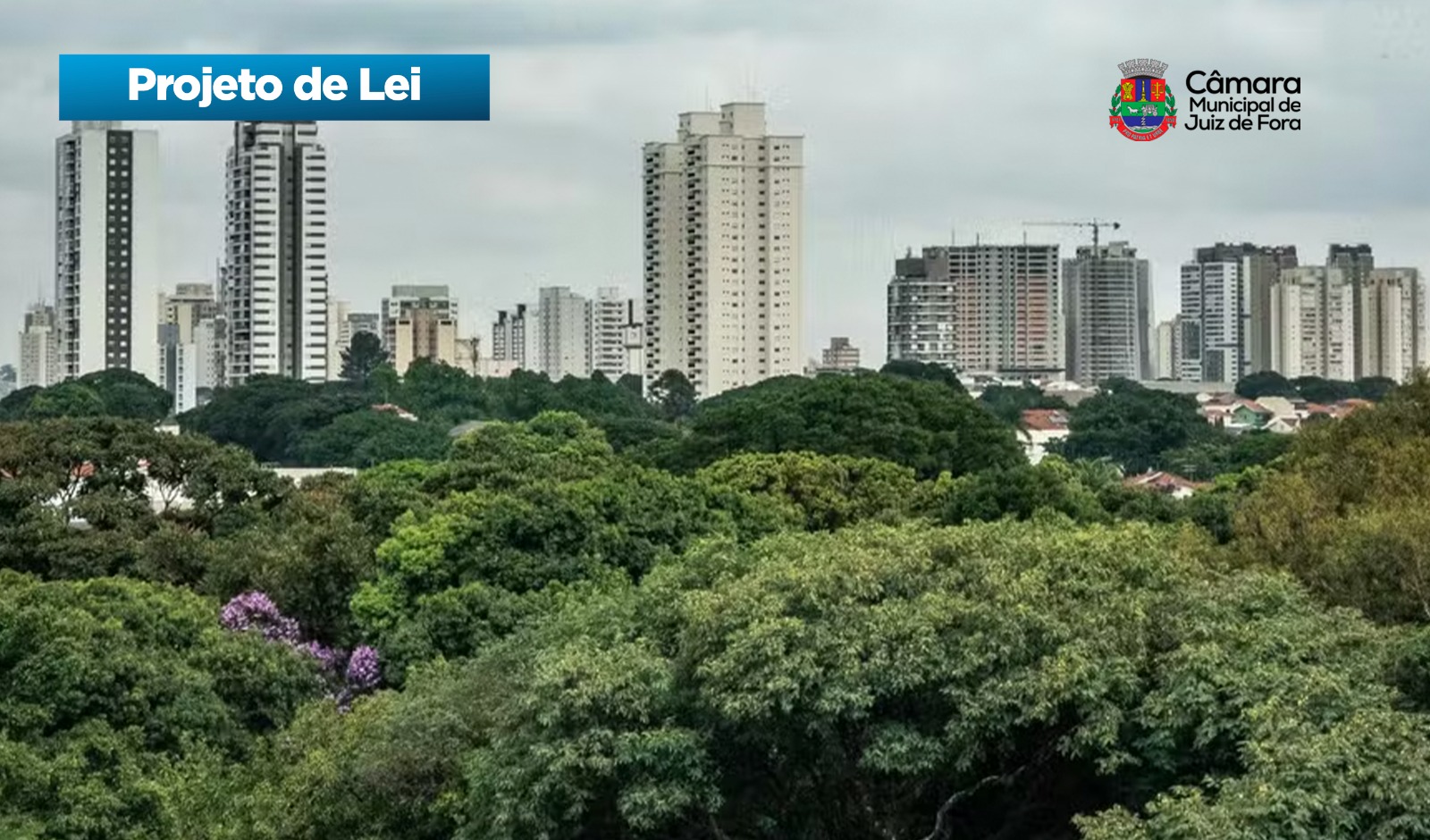 Cida Oliveira - Criação de infraestrutura verde com corredores e bosques nos bairros (18/09/2026 00:00:00)